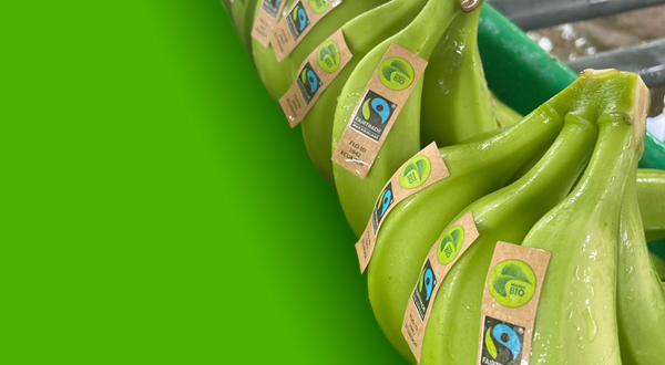 product-banner